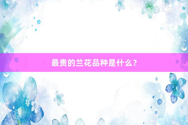 最贵的兰花品种是什么？